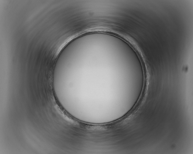 X0000112101337200908041103