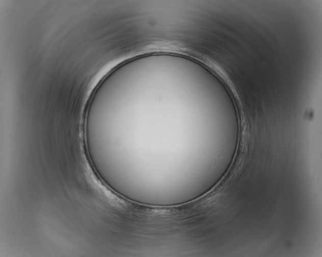 X0000112101339200908041103