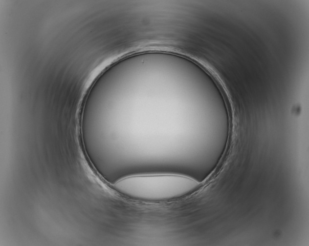 X0000112101341200908041103