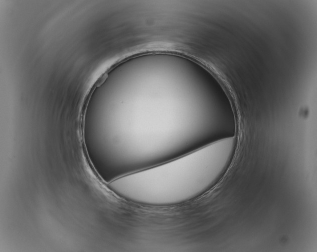 X0000112101342200908041103