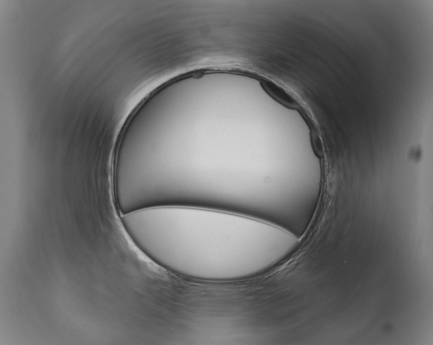 X0000112101343200908041104