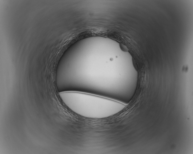 X0000112101345200908041103