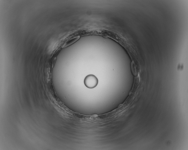 X0000112101348200908041103