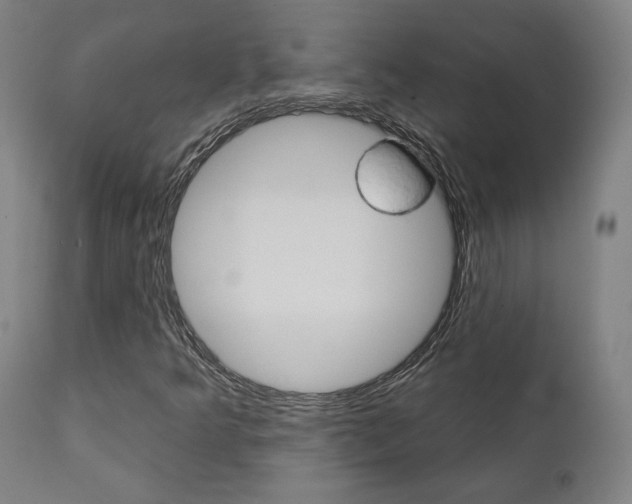 X0000112101349200908041103