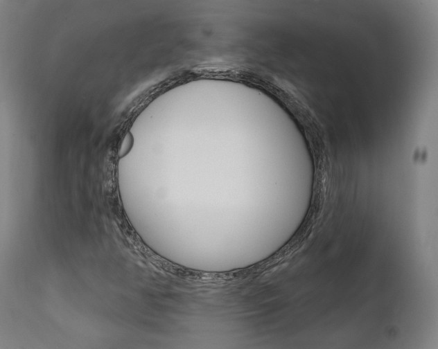 X0000112101350200908041103