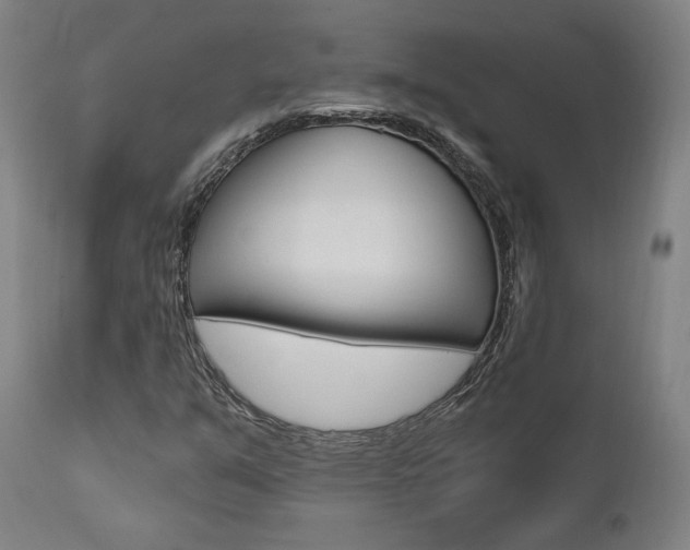 X0000112101351200908041103