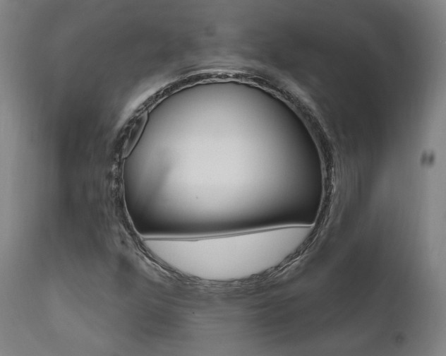 X0000112101352200908041103