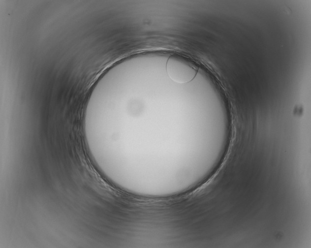 X0000112101353200908041103