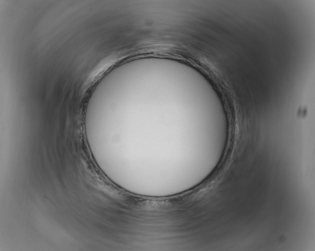 X0000112101354200908041103