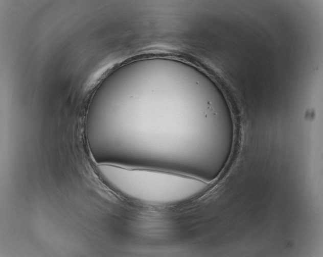 X0000112101355200908041103