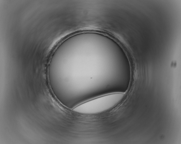 X0000112101356200908041103
