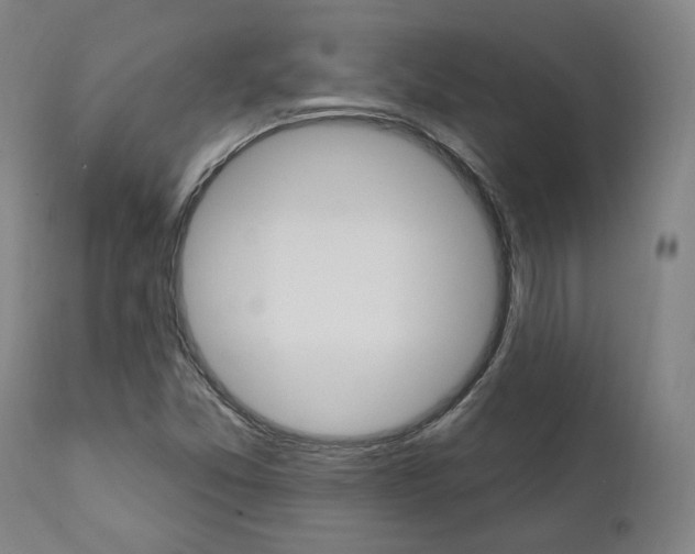 X0000112101357200908041103