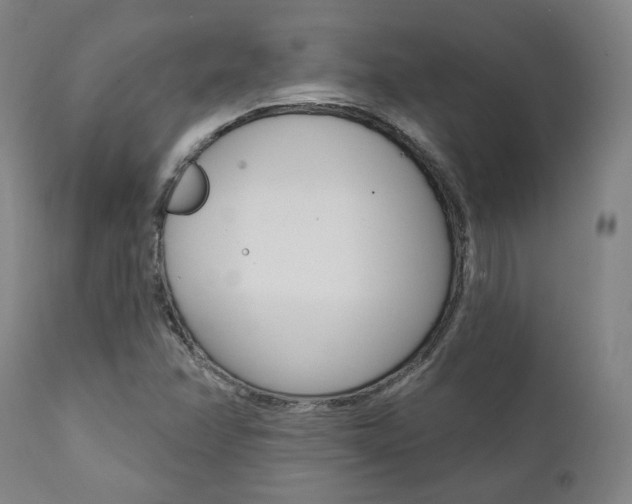 X0000112101358200908041103