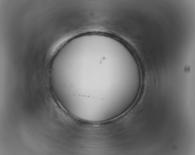 X0000112101359200908041103