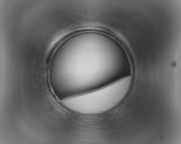 X0000112101360200908041103