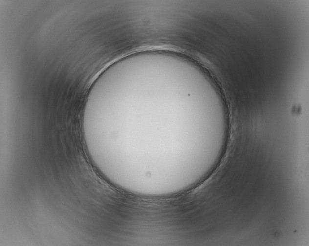X0000112101361200908041103