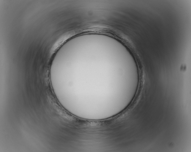 X0000112101362200908041103