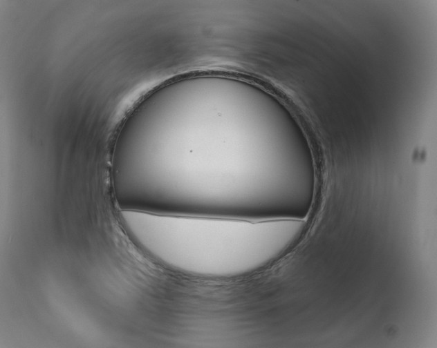 X0000112101363200908041103