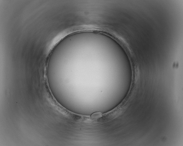 X0000112101365200908041103