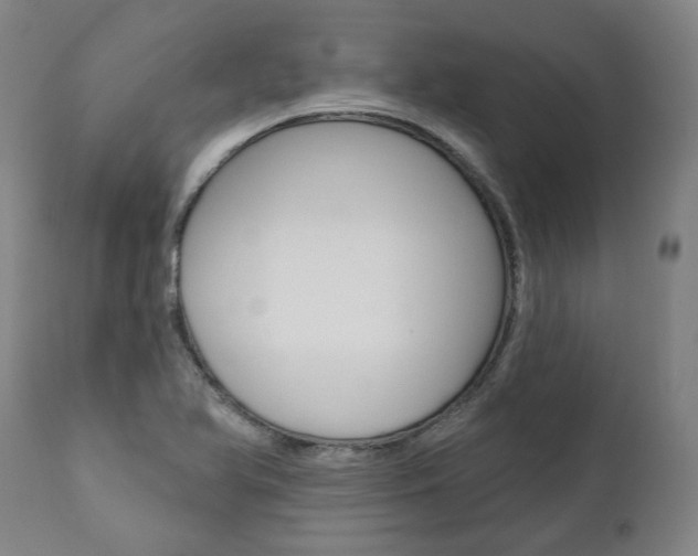 X0000112101366200908041103