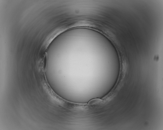 X0000112101369200908041103
