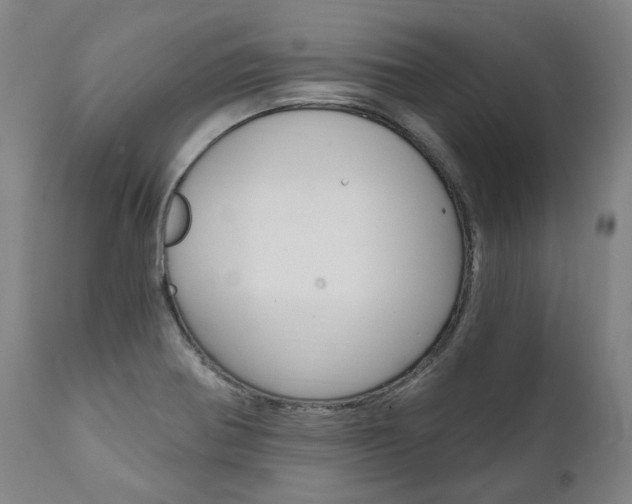 X0000112101370200908041103