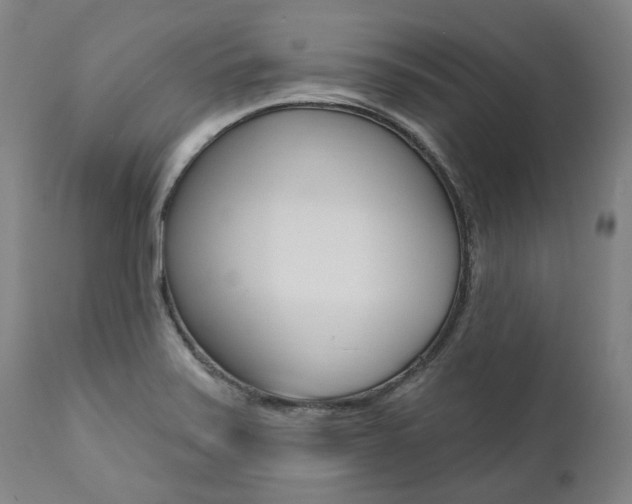 X0000112101371200908041103