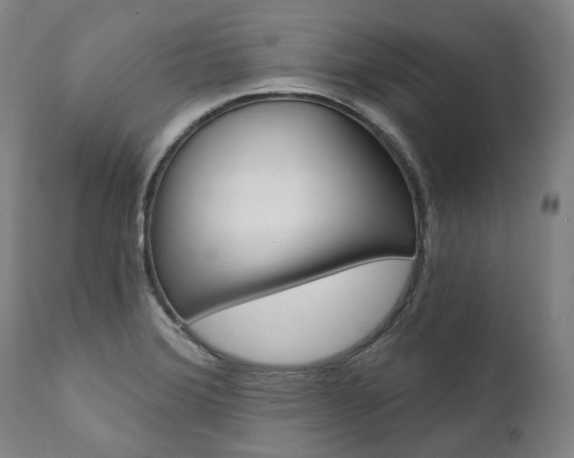 X0000112101372200908041102
