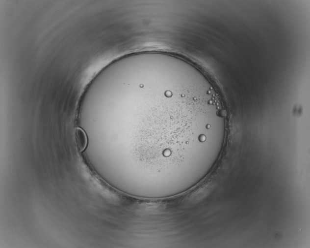X0000112101373200908041102
