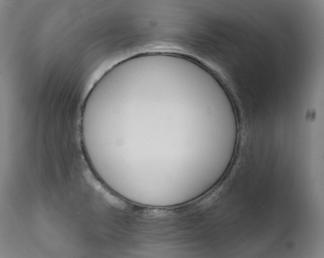 X0000112101374200908041102