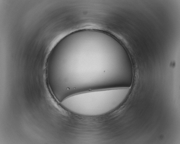 X0000112101375200908041102