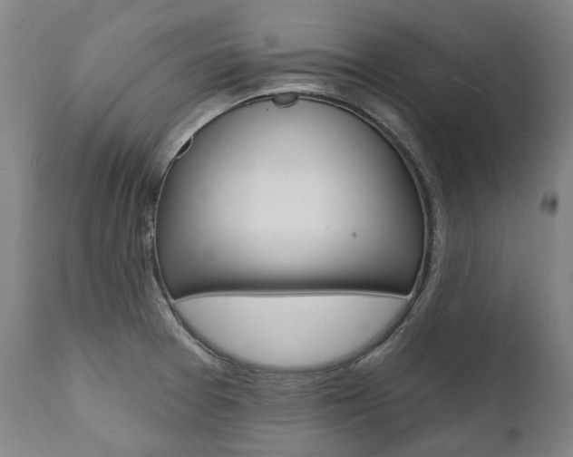 X0000112101377200908041102