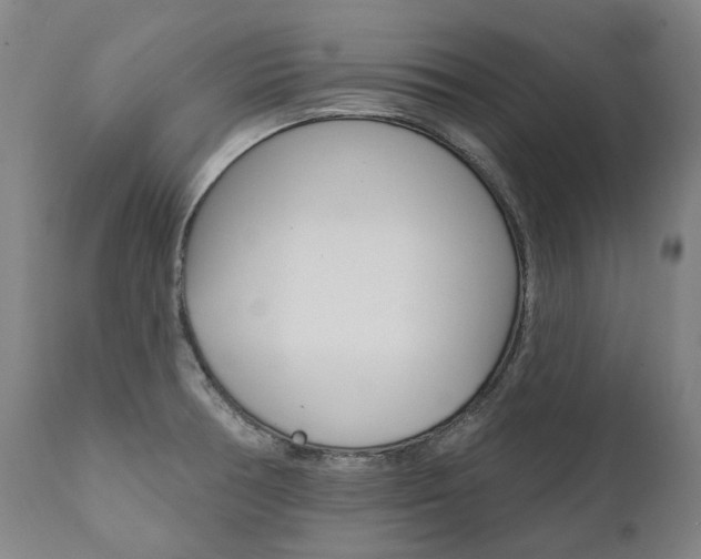 X0000112101378200908041102
