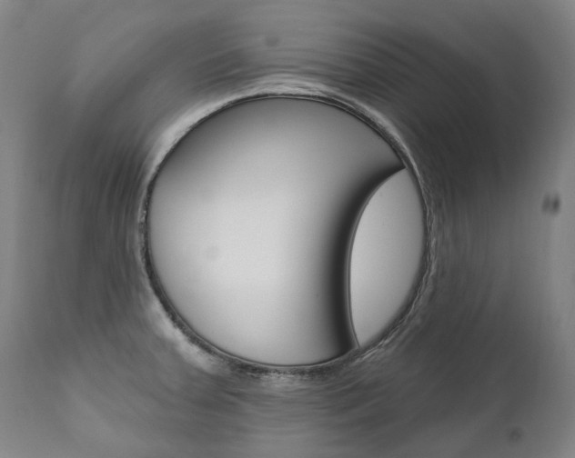 X0000112101379200908041102