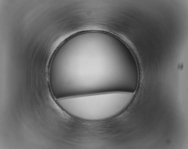 X0000112101380200908041102