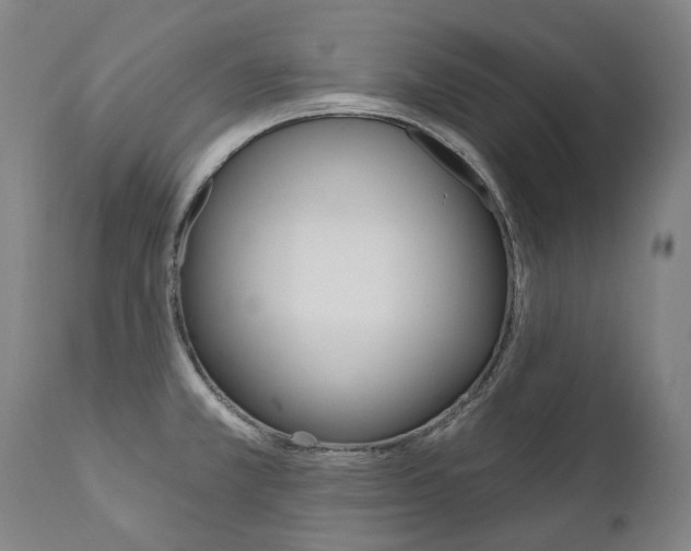 X0000112101381200908041102