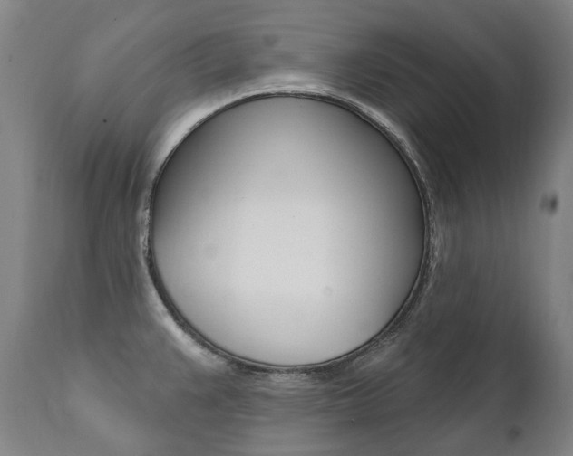 X0000112101383200908041102