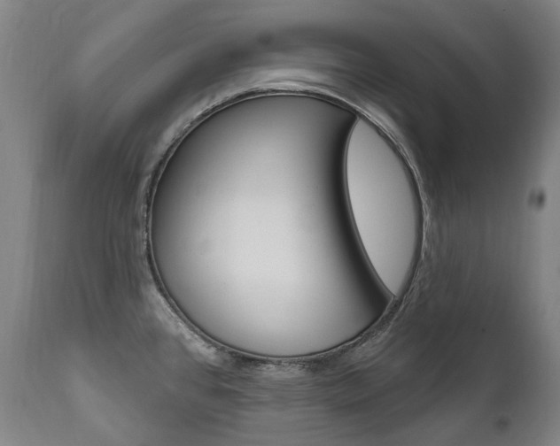 X0000112101384200908041102