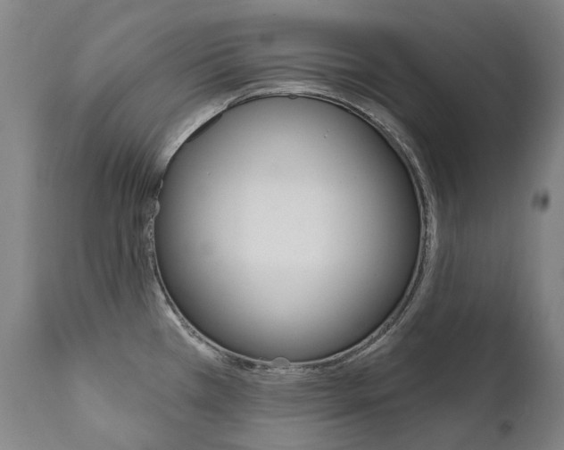 X0000112101385200908041102