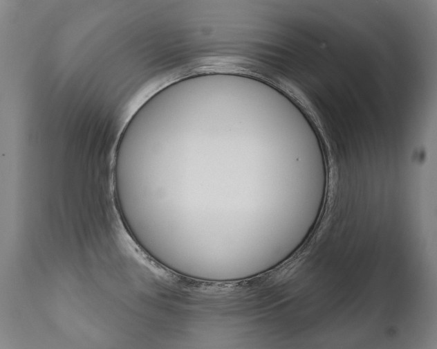 X0000112101386200908041102