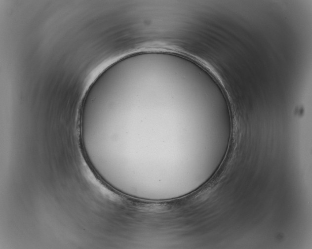 X0000112101387200908041102