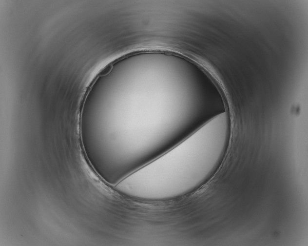 X0000112101388200908041102