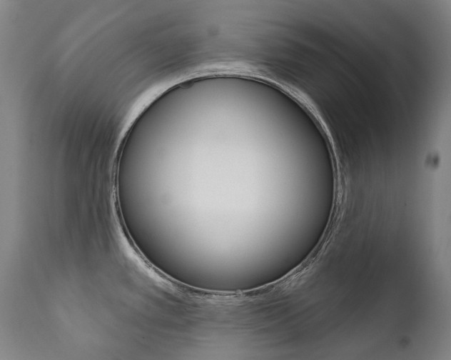 X0000112101389200908041102