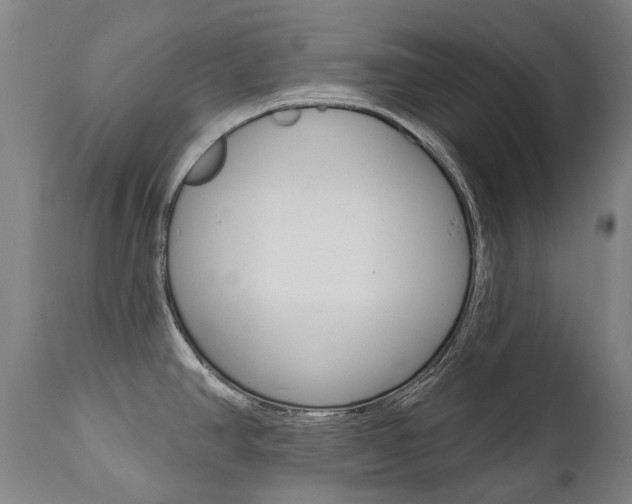 X0000112101390200908041102