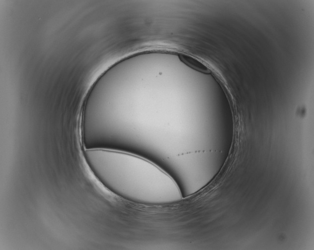X0000112101391200908041102