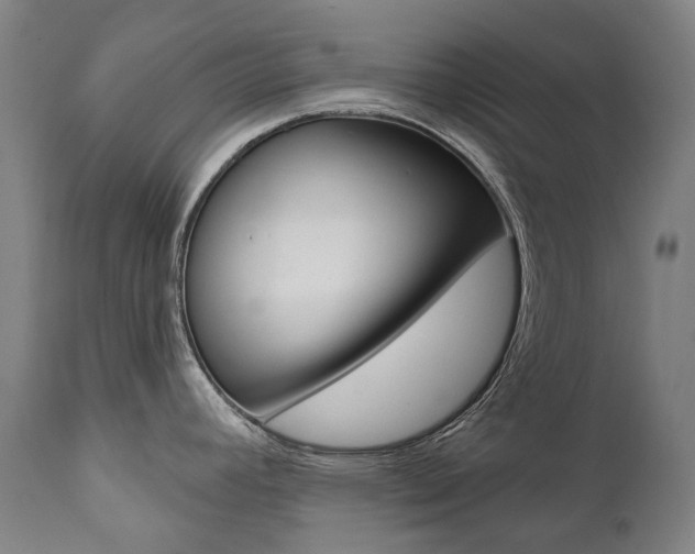 X0000112101392200908041102