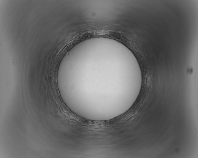 X0000112101393200908041102