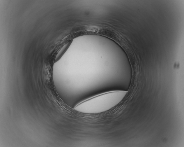 X0000112101394200908041102