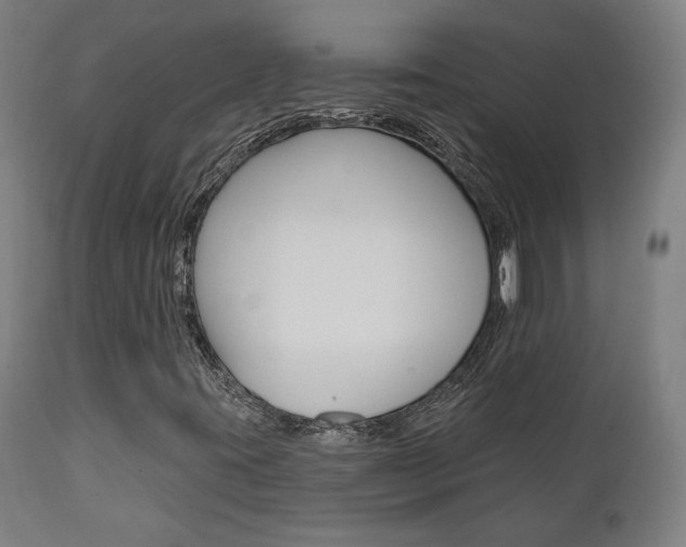 X0000112101395200908041102