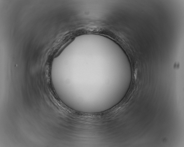 X0000112101396200908041102